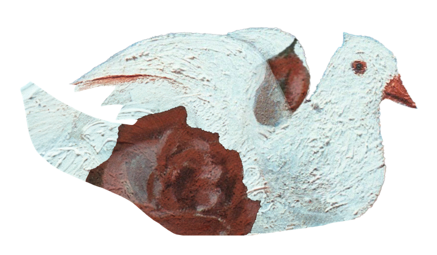 dove ribbon